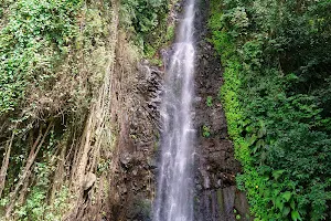 Dark View Falls image