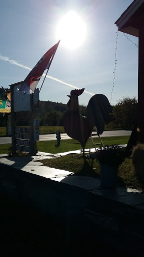 Tourist Attraction «Quarry Hill Farm», reviews and photos, 4405 VT-15, Jeffersonville, VT 05464, USA
