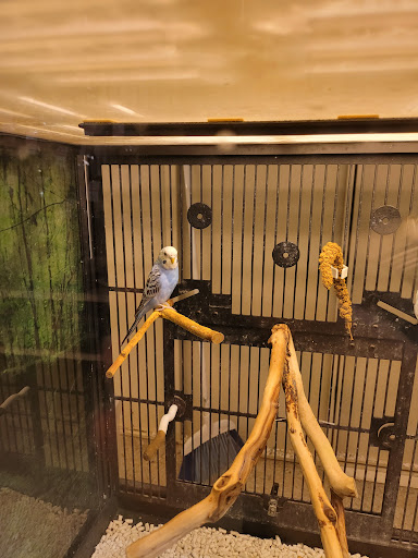 Pet Supply Store «PetSmart», reviews and photos, 19 Clifton Country Rd, Clifton Park, NY 12065, USA