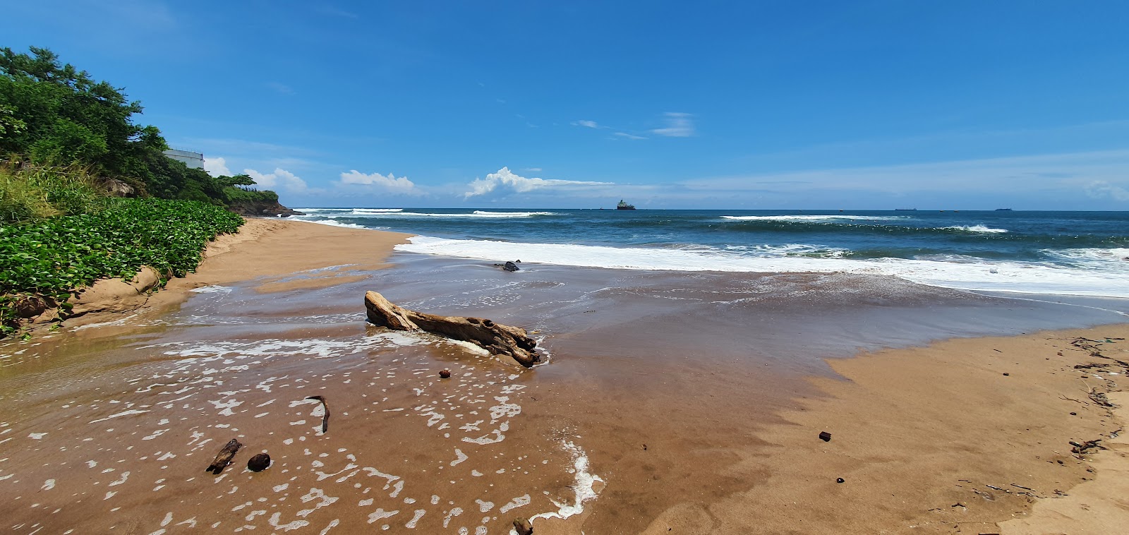 Foto di Flowers Beach con costa lunga e dritta