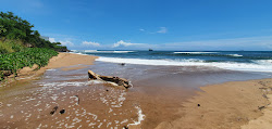 Foto di Flowers Beach con costa lunga e dritta