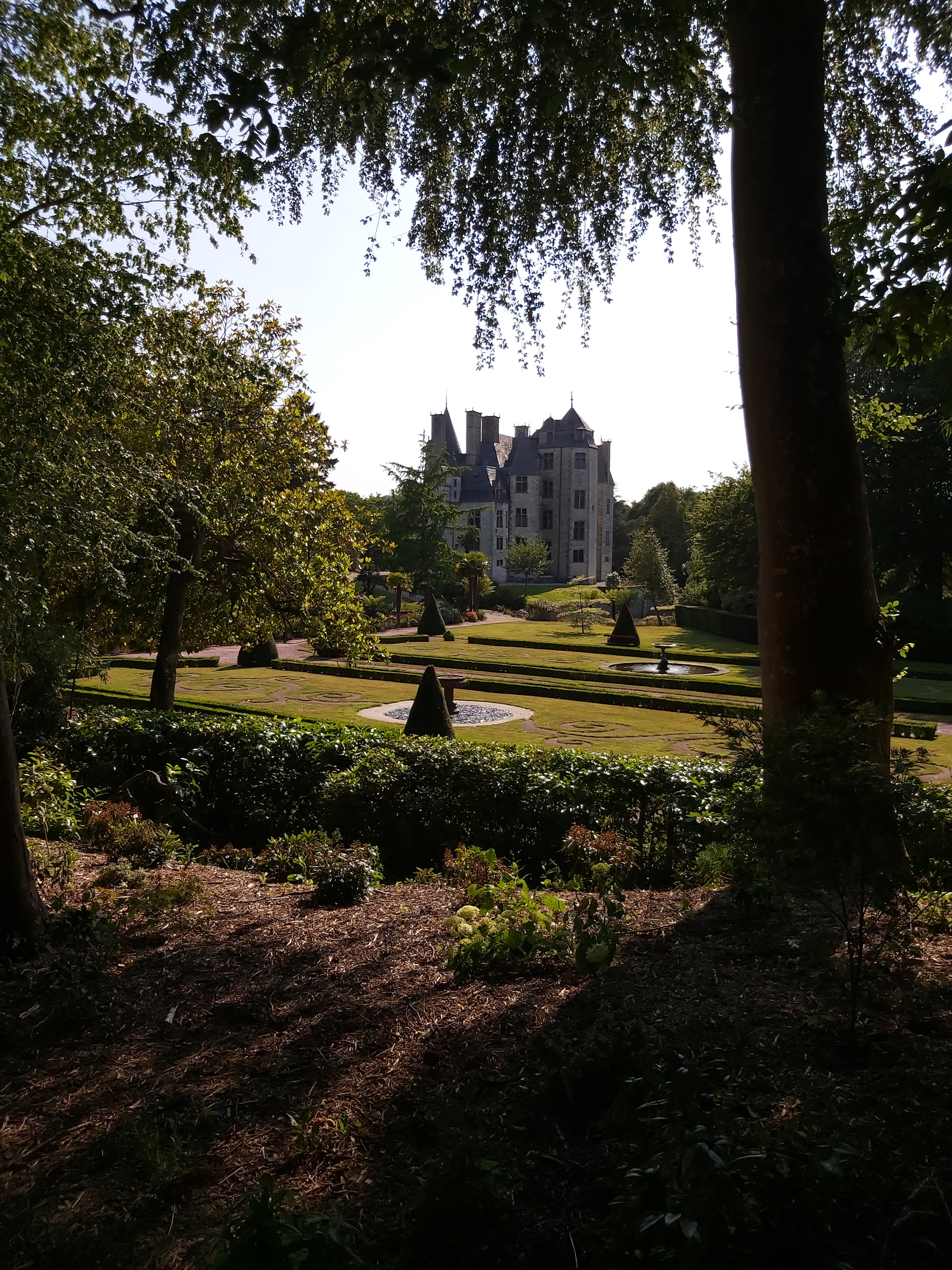Photo n° 2 de l'avis de Patrick.h fait le 25/06/2023 à 19:23