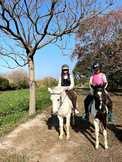 尼普頓馬術創藝園區 Neptune Equestrian-新竹馬場/竹北馬場/騎馬/餵馬/新竹景點/一日遊/半日遊