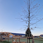 Photo n°4 de l'avis de Bibi.e fait le 11/12/2022 à 20:47 sur le  Zum Dorfkrug Landhof à Neu Wulmstorf