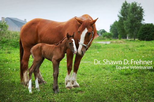 Dr. Shawn D. Frehner image