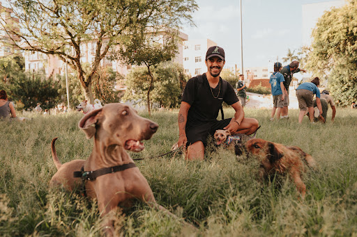 Abel Passeador de Cães Dog Walker Curitiba @falandoemcachorro