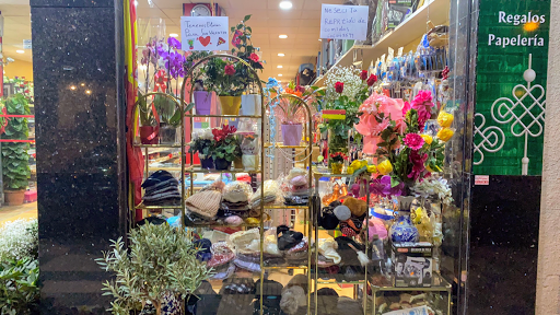 Bazar floristería chino miguel en Soria, Soria