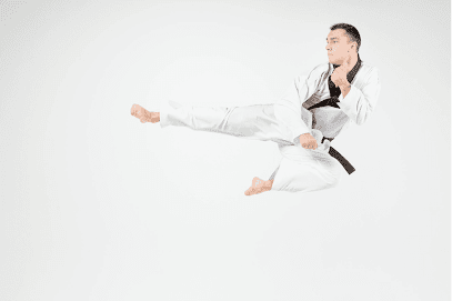 Bushido Karate-Do