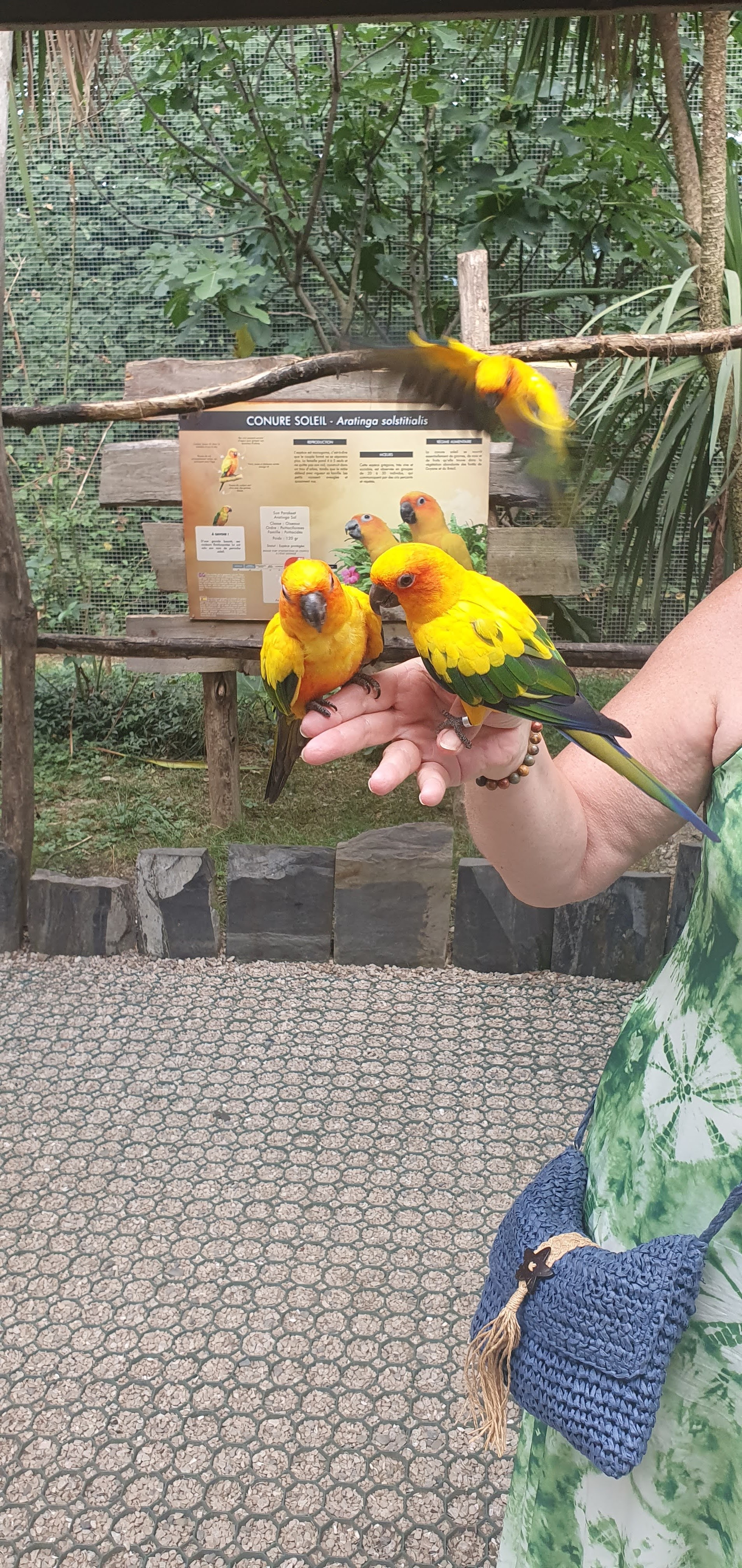 Photo n° 2 de l'avis de Beatrice.o fait le 20/08/2022 à 07:43