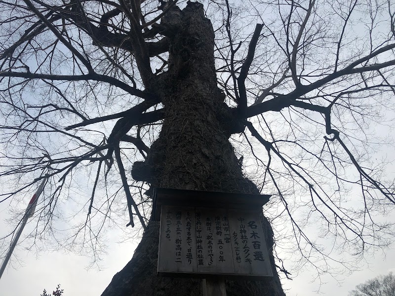 名木百選 中山神社のムクノキ