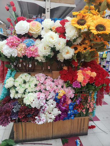 99C Always Plus, 691 Franklin Ave, Franklin Square, NY 11010, USA, 