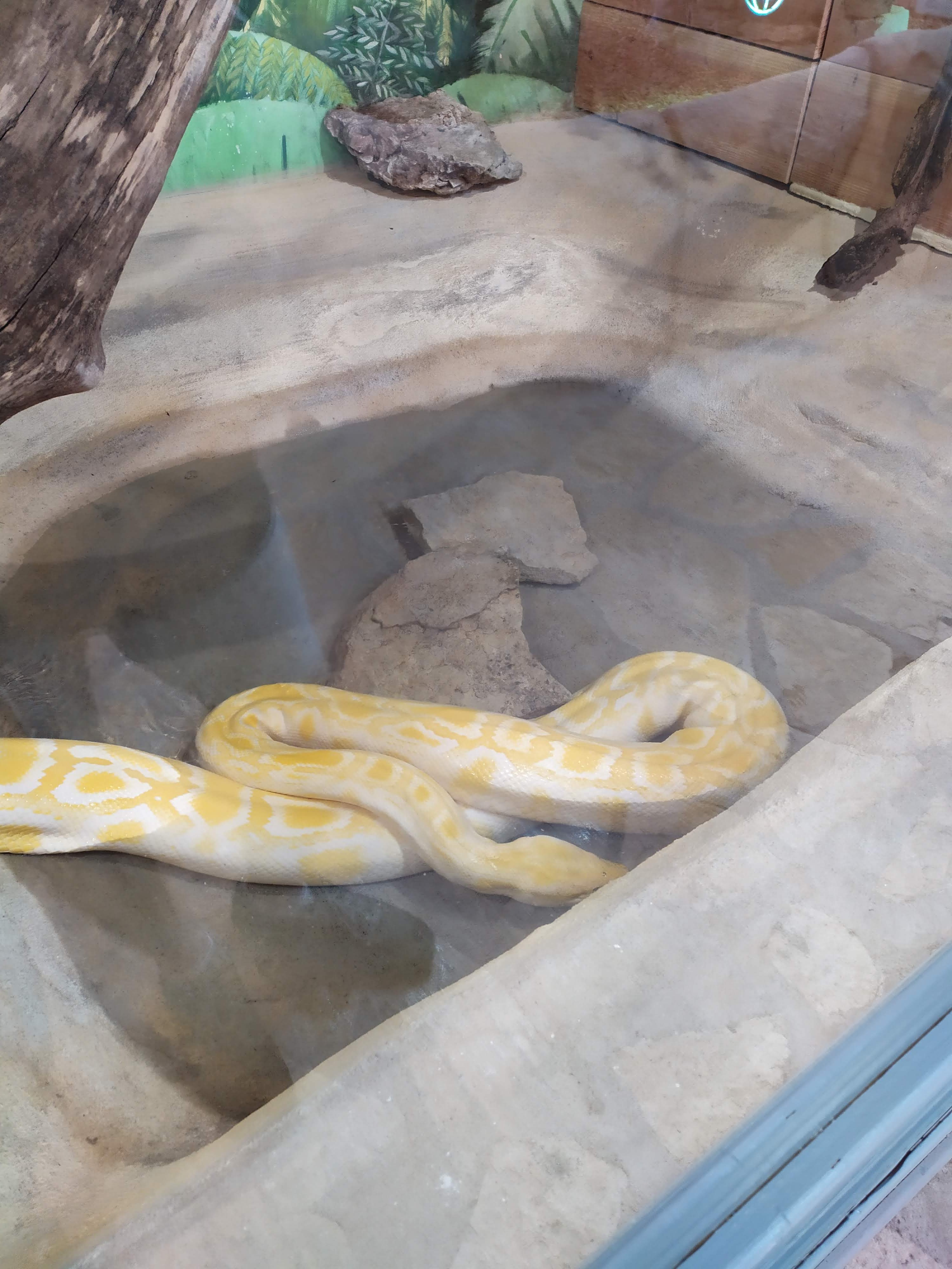 Photo n° 1 de l'avis de Hélodie. fait le 25/08/2020 à 06:29