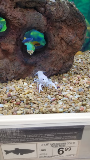 Pet Supply Store «Petco Animal Supplies», reviews and photos, 3424 W Shore Dr, Holland, MI 49424, USA