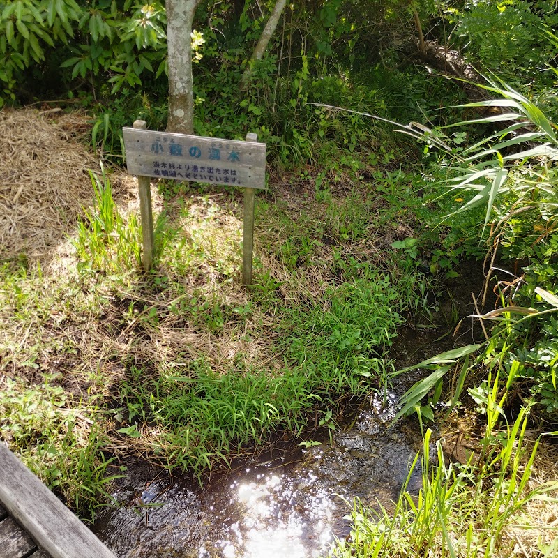 小藪の湧水