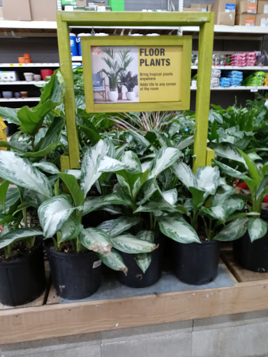 Home Improvement Store «The Home Depot», reviews and photos, 955 N Randall Rd, Elgin, IL 60123, USA