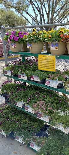 Hardware Store «Ace Hardware of Oviedo», reviews and photos, 129 Geneva Dr, Oviedo, FL 32765, USA