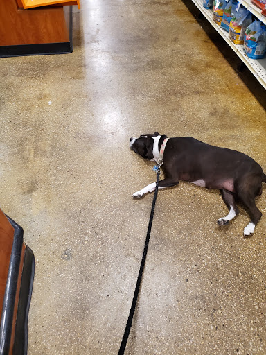 Pet Supply Store «PetSmart», reviews and photos, 1600 Marcus Ave, New Hyde Park, NY 11040, USA
