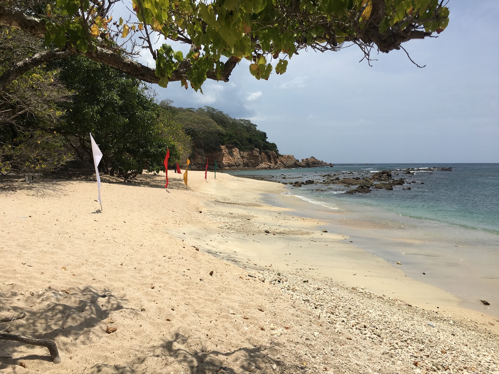 Foto di Coral Cove Beach con una superficie del sabbia luminosa