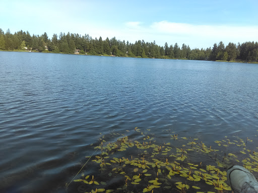 Golf Course «Riviera Community Club», reviews and photos, 11019 Country Club Dr, Anderson Island, WA 98303, USA