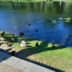 Photo n°4 de l'avis de Terminator.L fait le 20/07/2023 à 00:09 sur le  Fährhaus Caputh à Schwielowsee