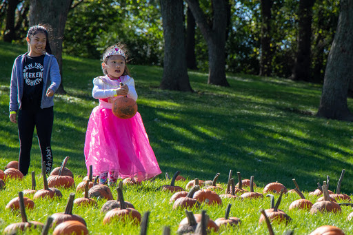 Park «Bensenville Park District», reviews and photos, 1000 W Wood St, Bensenville, IL 60106, USA