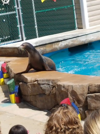 Zoo «Oceans of Fun», reviews and photos, 10001 W Bluemound Rd, Milwaukee, WI 53226, USA