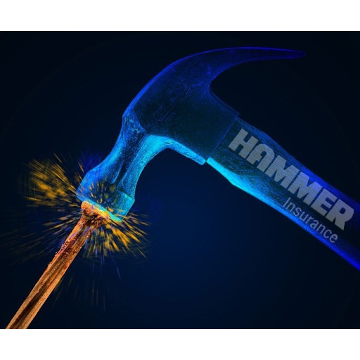 Hammer Insurance Services Inc. image