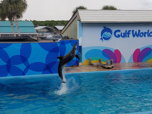 Aquarium «Gulf World», reviews and photos, 15412 Front Beach Rd, Panama City Beach, FL 32413, USA