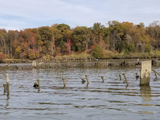 Tourist Attraction «Mallows Bay», reviews and photos, 1440 Wilson Landing Rd, Nanjemoy, MD 20662, USA