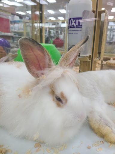 Pet Supply Store «Pet Supermarket», reviews and photos, 7070 College Pkwy, Fort Myers, FL 33907, USA