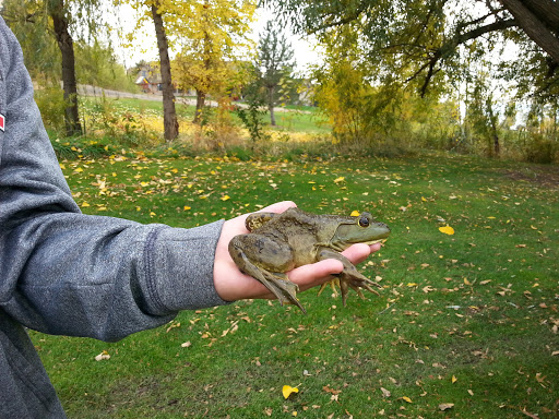 Golf Course «River Birch Golf Course», reviews and photos, 3740 N Pollard Ln, Star, ID 83669, USA