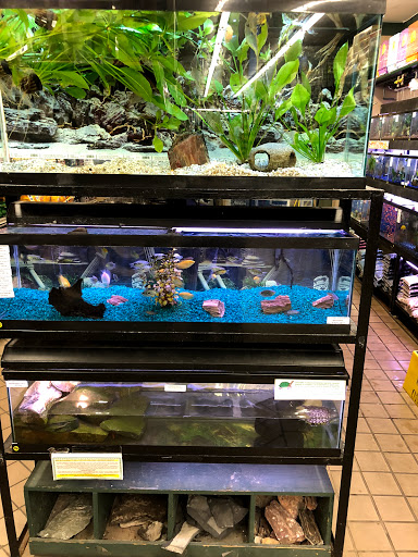 Pet Store «Petland Discounts - Kissena Blvd», reviews and photos, 71-8 Kissena Blvd, Flushing, NY 11367, USA