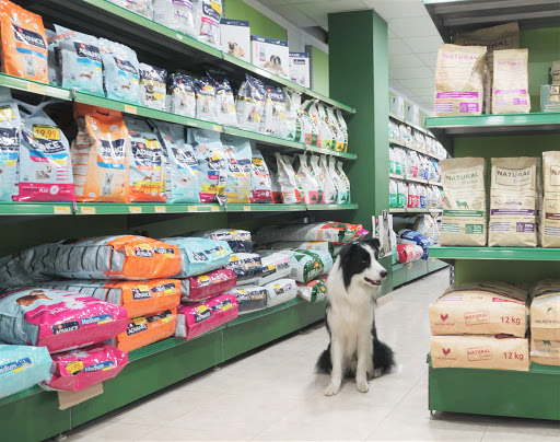 TOTANIMAL Tienda de Animales Peluqueria Canina Peces y Acuarios - Villarreal