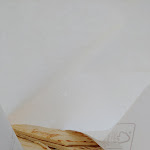 Photo n°4 de l'avis de Evelina.c fait le 19/07/2021 à 12:09 sur le  Plage Oreste à Milano Marittima