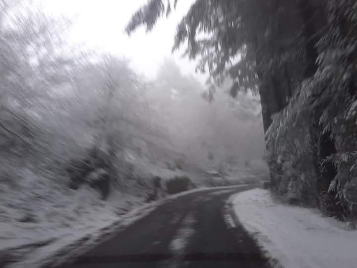 Photo n° 10 de l'avis de Flo. fait le 02/11/2023 à 15:05