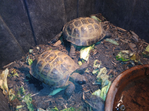 Pet Supply Store «M & M Pet Supplies Inc», reviews and photos, 15625 E Warren Ave, Detroit, MI 48224, USA