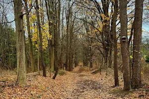 Wild Wings Nature Center image