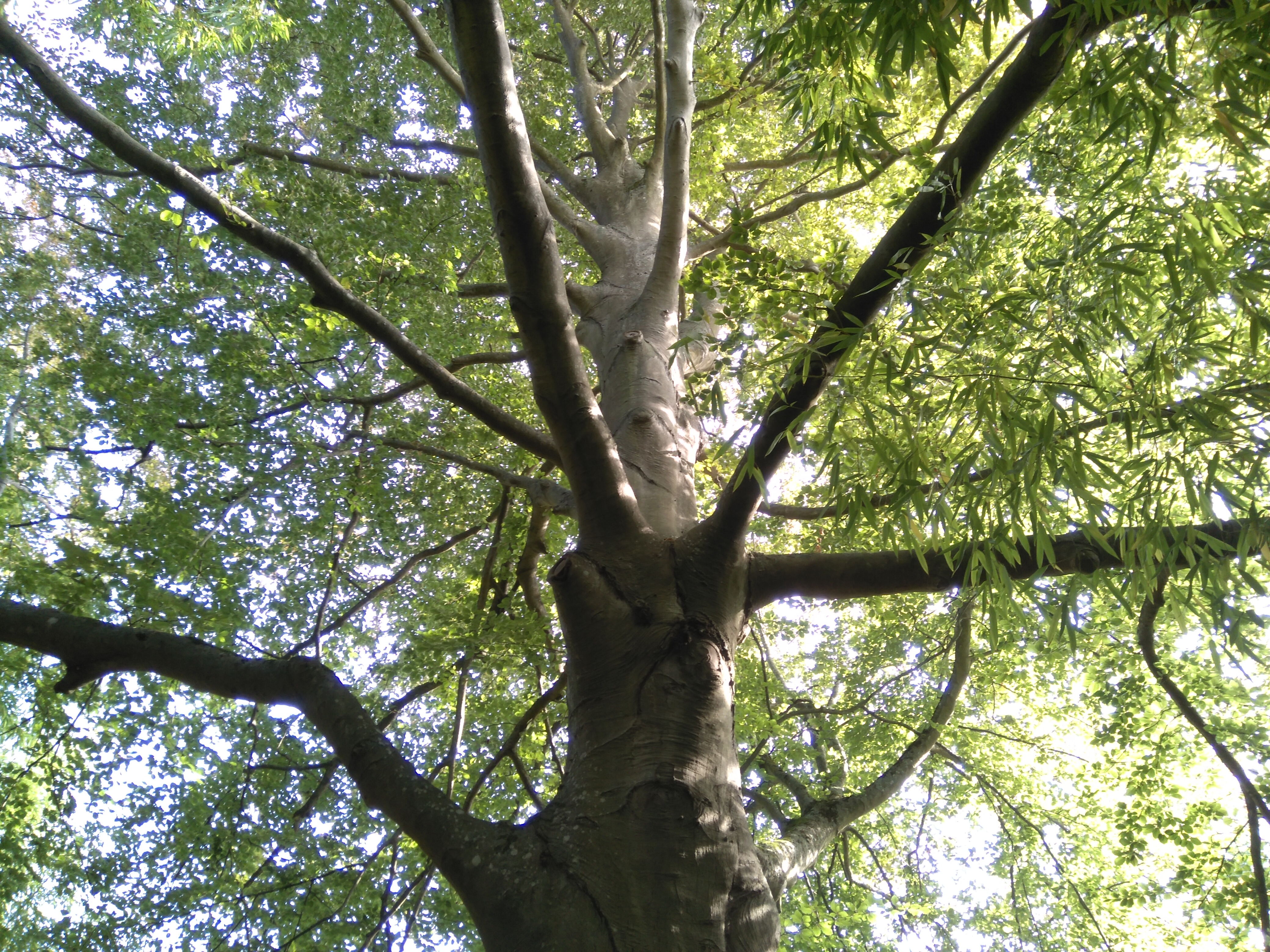 Photo n° 3 de l'avis de Emmanuel.o fait le 14/09/2019 à 14:20