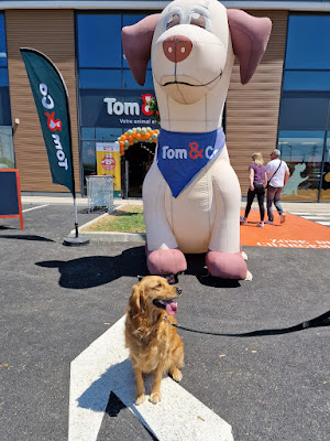 Tom&Co Varennes-Sur-Seine à Varennes-sur-Seine