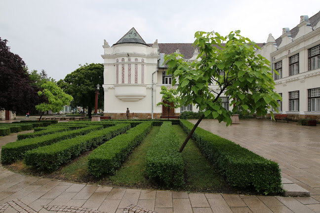 Tokaj-Hegyalja Egyetem - Egyetem