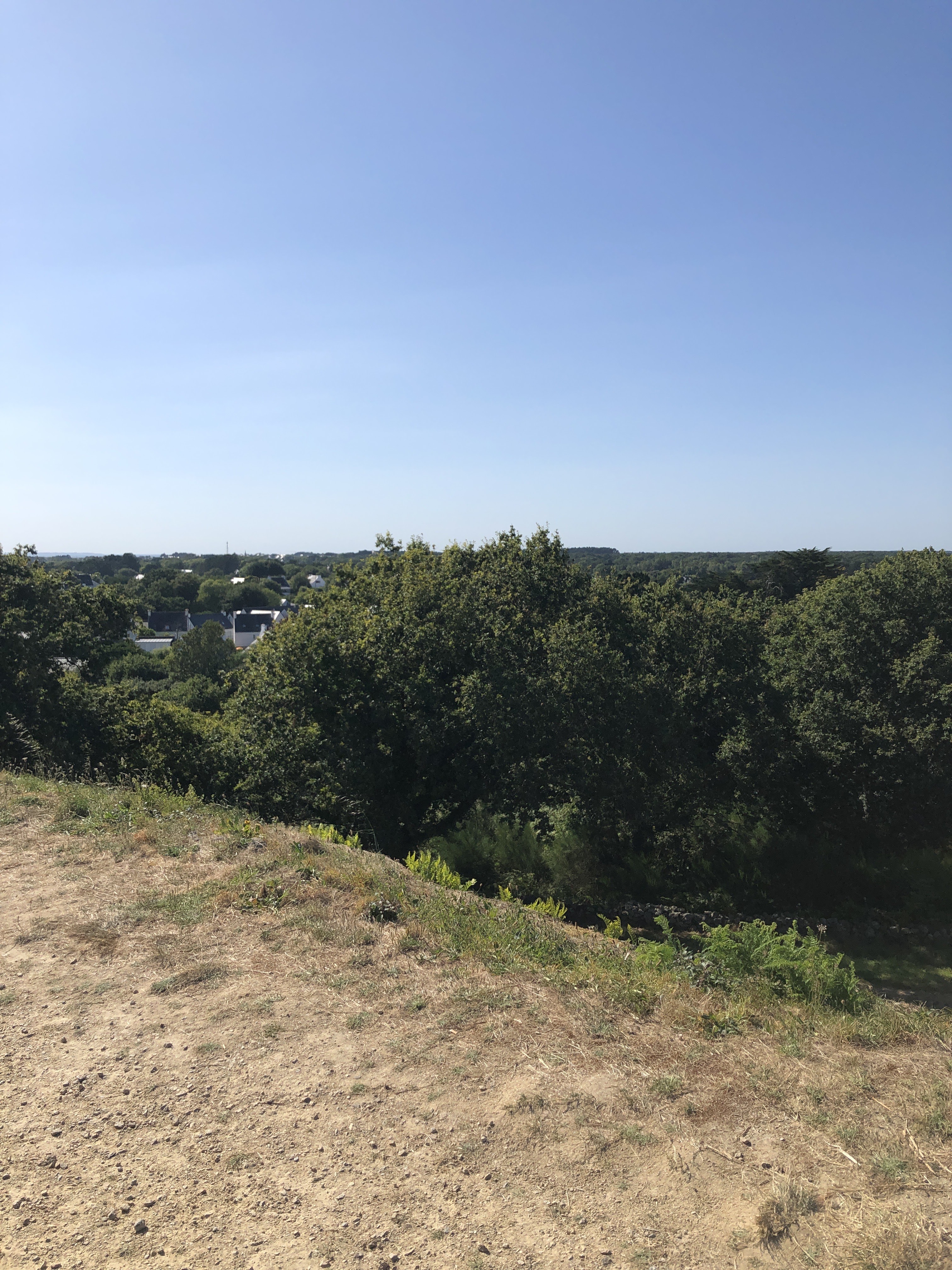 Photo n° 3 de l'avis de OREL.R fait le 21/07/2020 à 15:59