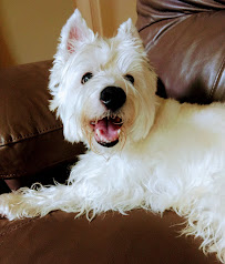 Paw Keepers Dog Walking and Pet Sitting Service - Photo 5 - Car repair in Woodbridge, VA, Alexandria