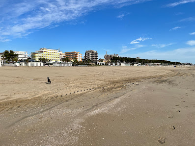 Spiaggia libera del Giglio di mare e del Fratino Via Marconi, 330, 64011 Alba Adriatica TE, Italia