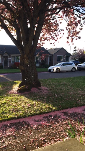 Used Car Dealer «Karz N More inc», reviews and photos, 915 Tennant Way, Longview, WA 98632, USA