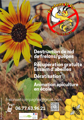 Frelons&Co à Sainte-Marguerite-sur-Duclair