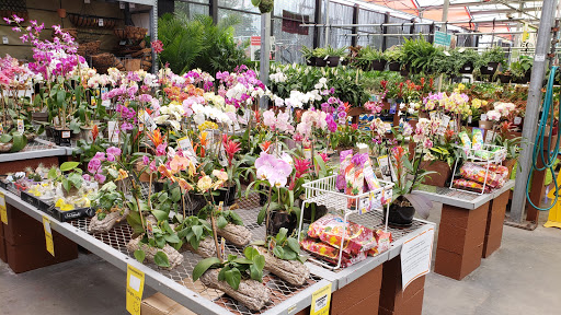 Home Improvement Store «The Home Depot», reviews and photos, 1000 NE 4th Ave, Fort Lauderdale, FL 33304, USA