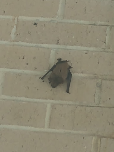 Thrift Store «Goodwill Store Dayton», reviews and photos