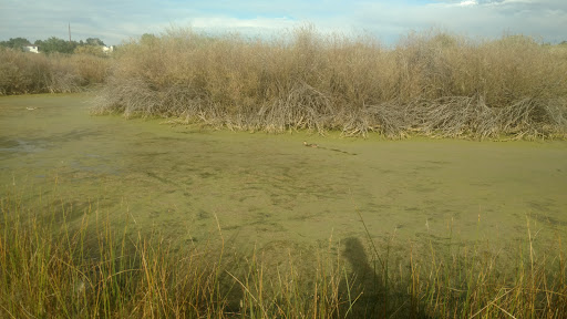 Park «Westminster City Park», reviews and photos, 10455 N Sheridan Blvd, Westminster, CO 80020, USA