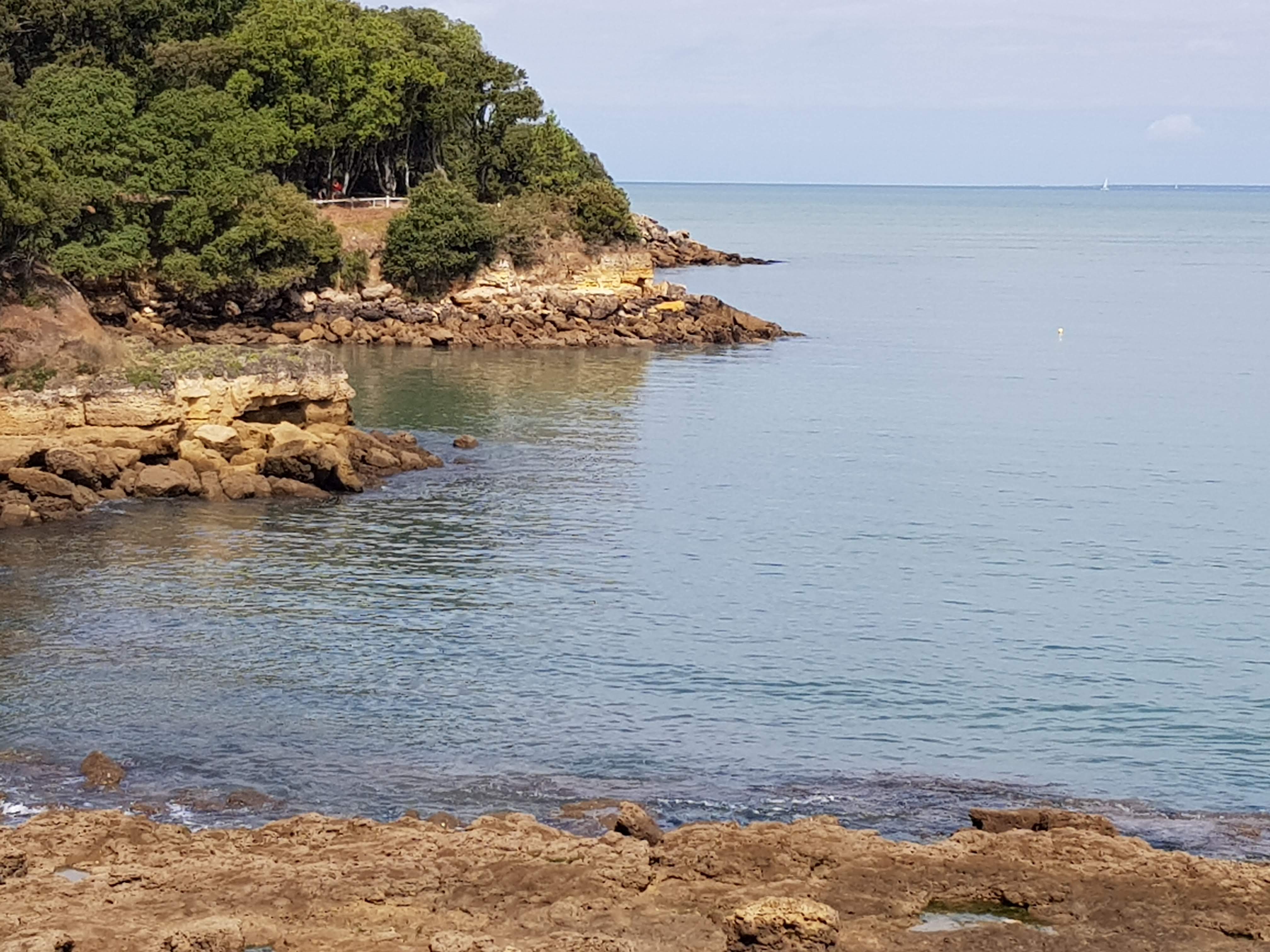 Photo n° 4 de l'avis de Philippe.u fait le 29/07/2023 à 14:54