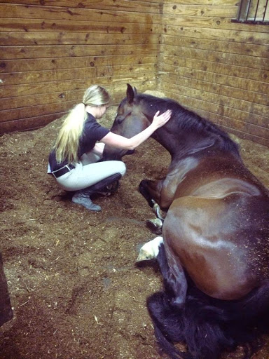 Horse Riding School «Horseng Farm LLC», reviews and photos, 6475 Warden Rd, New Tripoli, PA 18066, USA